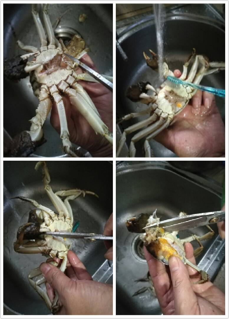 螃蟹无论公,母先清洗,去除后盖清洗,用剪刀一剪为二,再去除消化部分