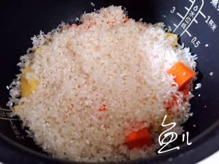 五花肉焖饭,放入淘洗干净的大米
