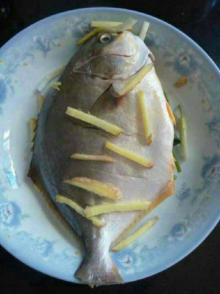 清蒸金鲳鱼,把鱼放进盘子里在把姜丝放在鱼身上。
