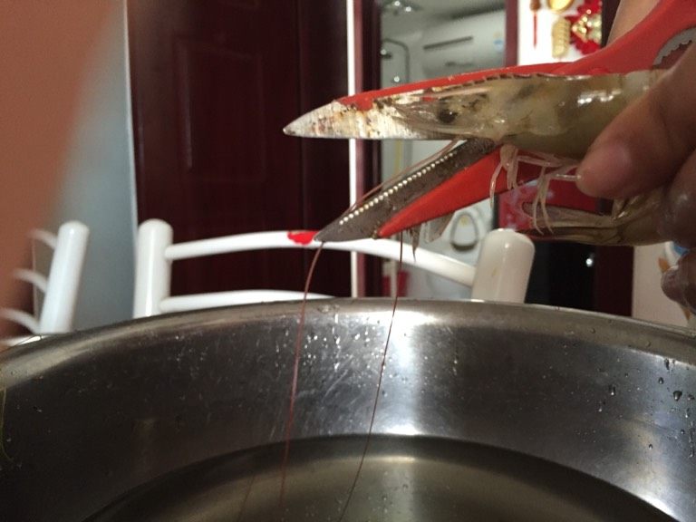 盐水虾,如图剪掉虾须和虾鳍