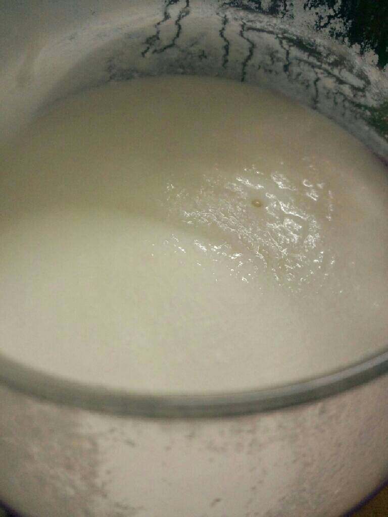 自制老酸奶,在放入酸奶机中按酸奶键，发十小时即可