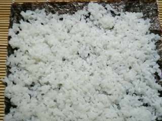 小熊寿司卷,再取一张海苔，全部铺上白米饭。