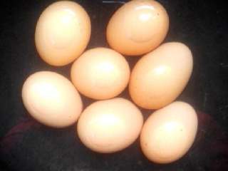 水煮蛋,锅内放入鸡蛋，再加上凉水，水要没过鸡蛋，使鸡蛋受热均匀。