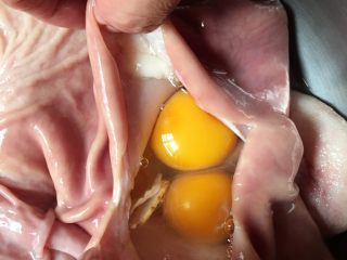 冬日养胃汤,把其他的小肠用线绑紧，把温水泡的参片连同水一起倒进去，把七个鸡蛋打入猪肚中。