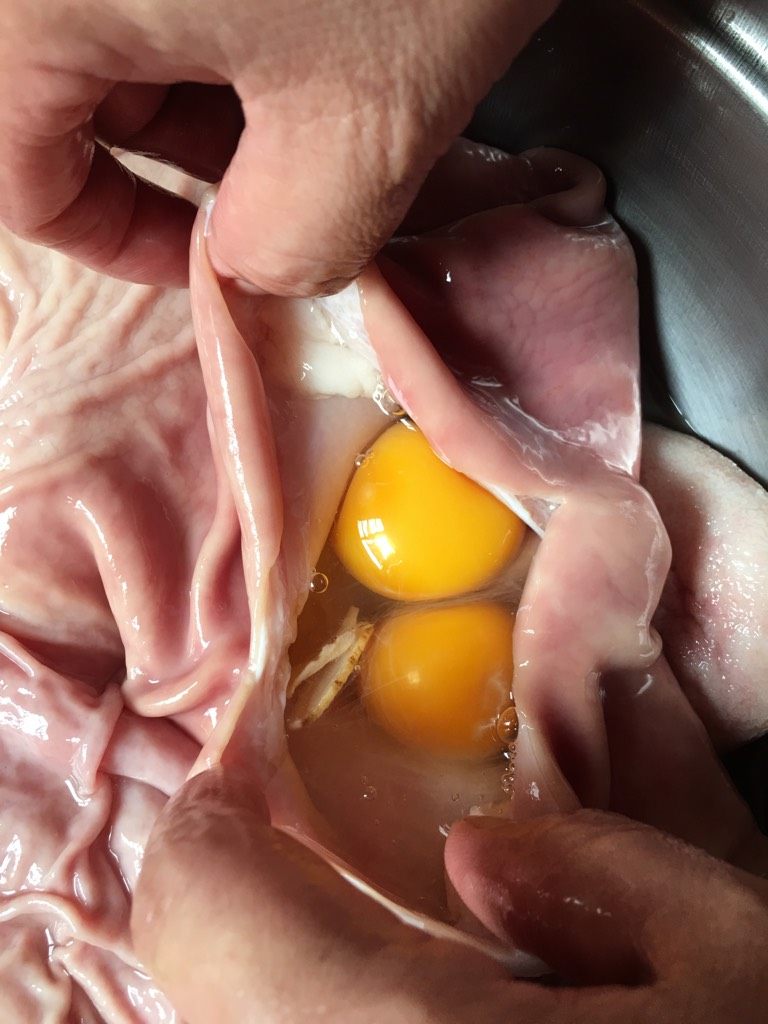 冬日养胃汤,把其他的小肠用线绑紧，把温水泡的参片连同水一起倒进去，把七个鸡蛋打入猪肚中。
