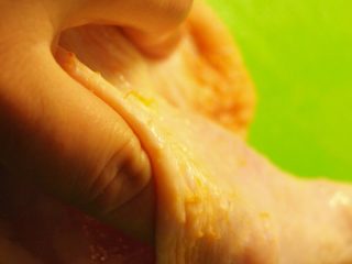 黄油香菜烤鸡腿,撑开鸡皮，把鸡皮与鸡肉间的薄膜弄破