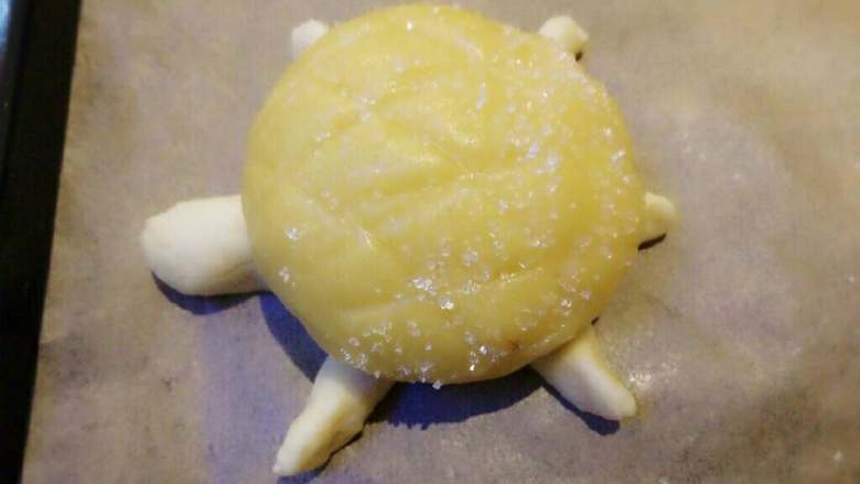 小乌龟菠萝包,将乌龟头腿和尾巴搓好后压在菠萝包下面，稍作整形即可。