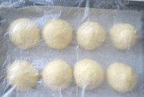 超级绵软土豆面包,将发好的面团分成8等份儿，排气后滚圆放在油纸上，放在温暖的地方发酵