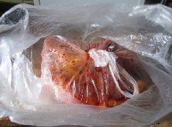 腐乳豆豉蒸鸡 ,把食品袋封严，用手轻轻的揉搓，是调料均匀的裹上鸡腿。放入冰箱冷藏2小时以上。