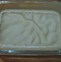 香酥板栗饼,熬好的猪油放入容器中，晾凉至凝固成白色。