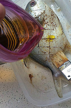香辣金边肉鲳 ,倒入少量油，用刷子刷在鱼身以及鱼尾，鱼鳍部位。两面都刷