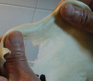 意大利披萨饼,使面揉出筋来然后加油继续揉，使面筋力十足能像口香糖一样用双手拉出薄膜来便完成了第一道工序。