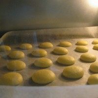 蛋黄饼干,烤盘垫油纸，不沾烤盘也垫，将面糊挤在烤盘上，成大约2cm的圆。