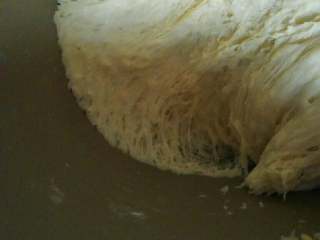 鲜玉米浆馒头,面包机至工作到发酵1结束，这会面团拉开成蜂窝状。