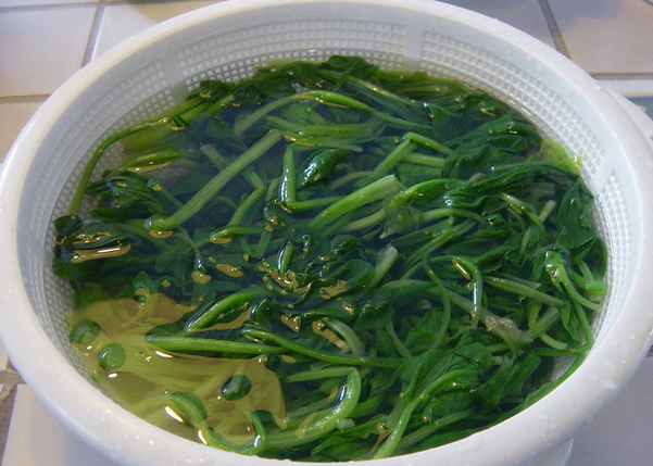 姜汁菠菜,将烫好的菠菜捞出放入冰水中浸泡，捞起沥干待用：