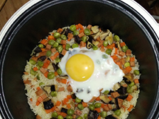 电饭锅什锦焖饭,出锅前，取出鸡蛋（鸡蛋可以撒点盐和胡椒粉），把饭和蔬菜拌匀。