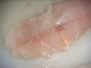 香橙双色菊花鱼,用刀在鱼肉上斜刀切片但不要将鱼片切断。