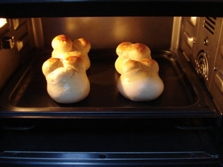 青蛙火腿堡,面团再次发到1.5倍大，在面包坯表面刷蛋液，放入烤箱中层，170度，上下火，烤15分钟左右。