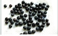金顶酥粒蓝莓马芬 ,将新鲜的蓝莓洗干净后，用厨房纸将表面的水份吸干。