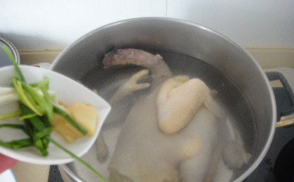 上海糟醉鸡,再把鸡放入汤锅倒入开水，把葱姜加入