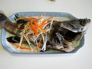 清蒸石斑鱼,撒上葱姜丝和胡萝卜丝。