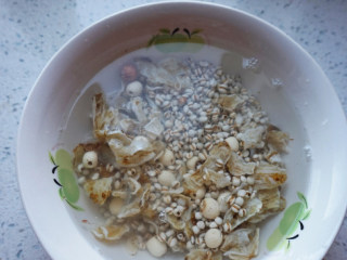 薏米莲子老鸭汤,薏米，百合，莲子，用水泡一个小时