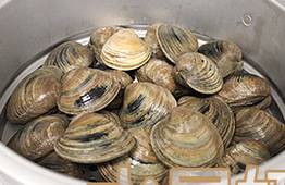蒜馍烤蛤蛎,将吐完沙的蛤蛎用刷子把壳刷干净，码在蒸锅上