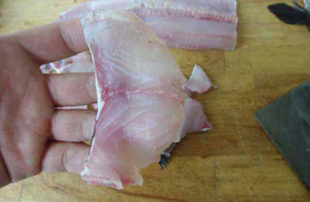 椒麻鱼片,斜着下刀，将鱼肉片成鱼片。