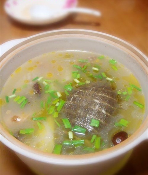 清燉甲魚 - 清燉甲魚做法,功效,食材 - 網上廚房