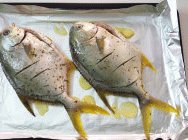 意大利香草烤银鲳鱼,将腌制好的鱼摆上烤盘；