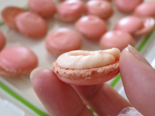 法式甜点马卡龙,选择大小相同的两片为一组中间挤上芝士奶油霜