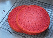丝绒乳酪慕斯,烤好的蛋糕出炉后略微晾凉，脱模置于晾网，完全凉透后，切两片相同厚度的蛋糕片备用