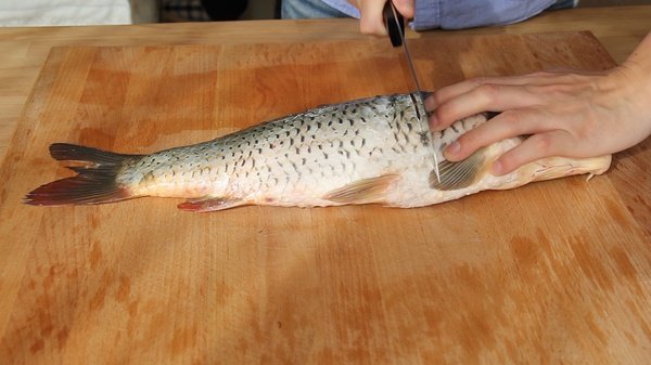 糖醋鱼,从鱼鳃向后数2个关节的位置下直刀，到鱼骨的时候向后片