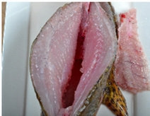 醋香怀胎鱼,用剪刀剪断背脊骨，留着它用，掏空内脏不要，洗净后，擦干水分。