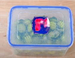 速腌小黄瓜,将黄瓜片入可以密封的大盒或者罐子，调入适量盐，密封好后摇晃3分钟。