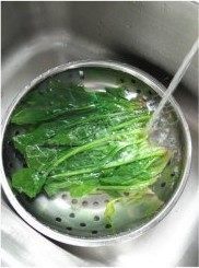 姜蒜香汁菠菜,焯烫好的菠菜过凉水