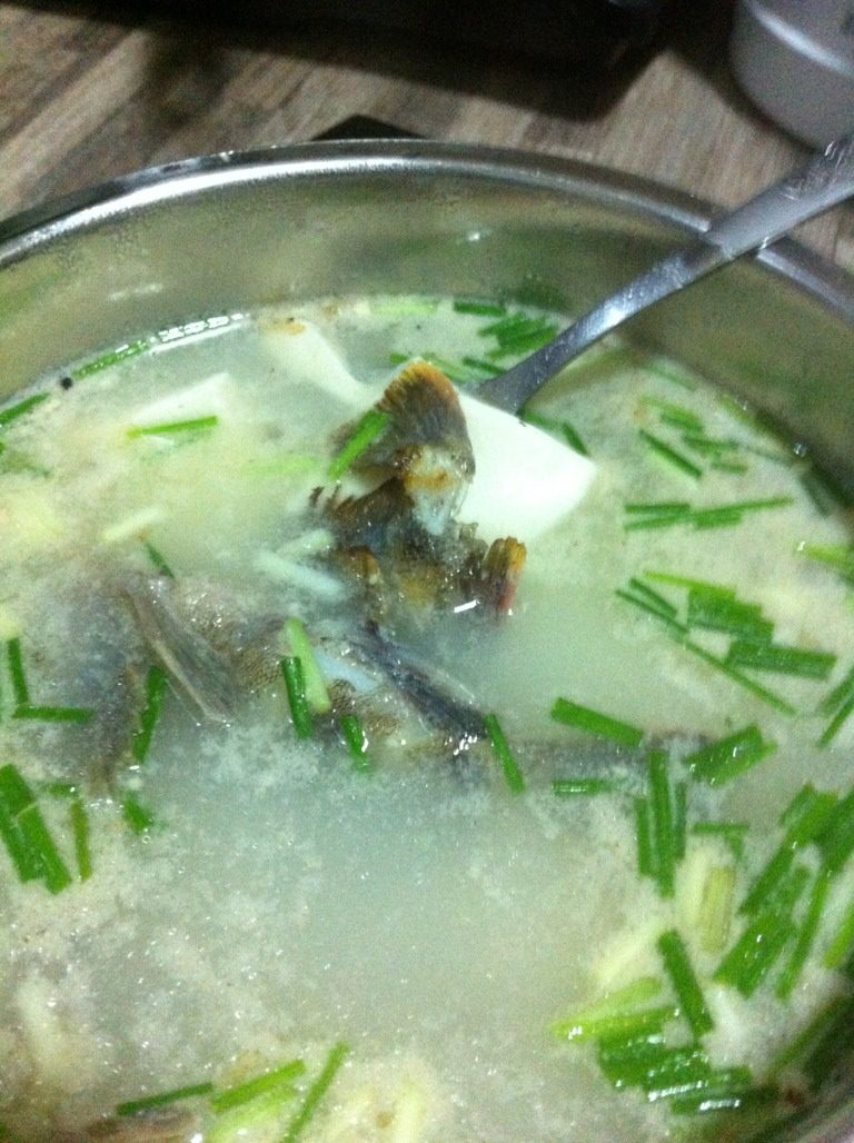 豆腐老虎鱼汤
