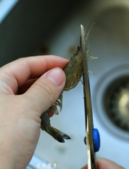 醉虾,先将虾洗净，用剪刀剪去虾须，虾脚，然后用大量净水冲洗干净备用。