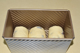 5℃冰种奶油葡萄干吐司,放入吐司模中，放温暖湿润处最后发酵。