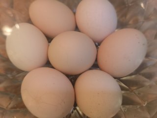 溏心卤蛋,到时间闭火，把蛋盛出来，放在凉水中，降温静置一小下就可以剥了。