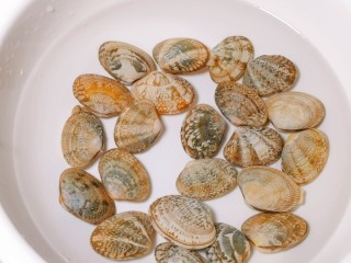 嫩又滑～入口即化蛤蜊蒸蛋,准备适量蛤蜊