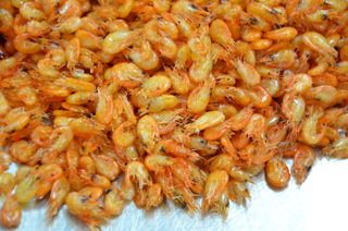 卷饼小米虾,洗净的小米虾沥干水分，先入油锅爆一下捞出。【用油爆熟的小虾，可以放入冷冻冰箱保存很长时间。】