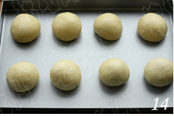 照烧花枝包,将包好的面包坯排入烤盘，每份面团中间留出1-1.5倍的间隔；