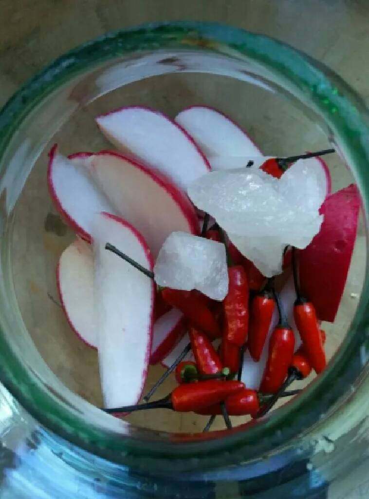 四川泡菜,水凉透以后把生姜，萝卜，小米椒，冰糖放坛子里