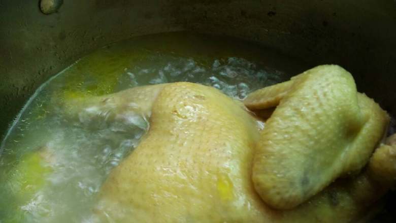 地方菜 海南鸡饭,放入半锅水加入姜片～将洗净的鸡肉放入盖锅盖煮10分钟，再将鸡翻过去煮2分钟关火焖3分钟