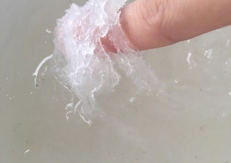 冰糖燕窝,泡软后用手顺着条纹撕成条。