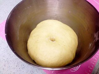 芝士肠仔包,把面团搓圆，放入厨师机，盖上保鲜膜，室温发酵至2倍大。