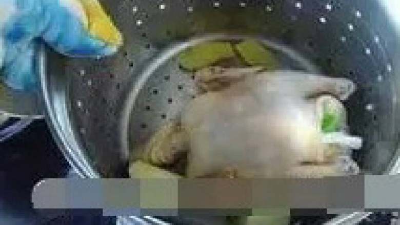 肥嫩鲜美白斩鸡,将鸡放入锅中净煮，中间提锅四至五次，倒出腔中的水，以保持内外温度一致。