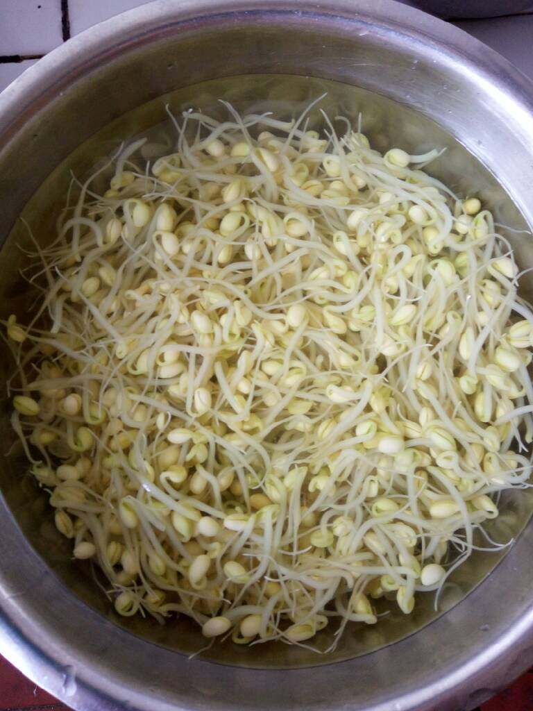 橄榄油凉拌豆芽,煮好的豆芽再放到凉水里凉一会儿，捞出装盘