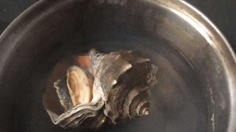 葱油海螺,海螺煮熟，水开后按海螺大小掌握煮的时间，但一定煮透（今天忘拍图，借用做海螺饺时的图了）